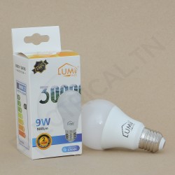 LAMPE LED LUMIO A60 9W